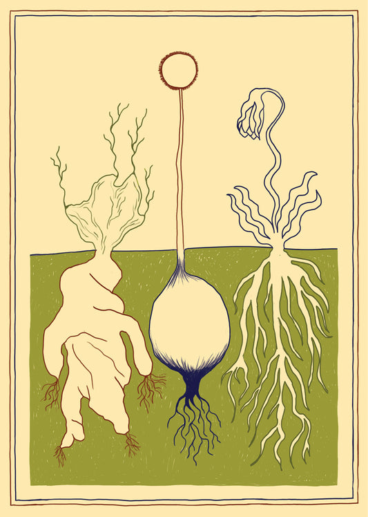 Root Vegetables // Artwork print