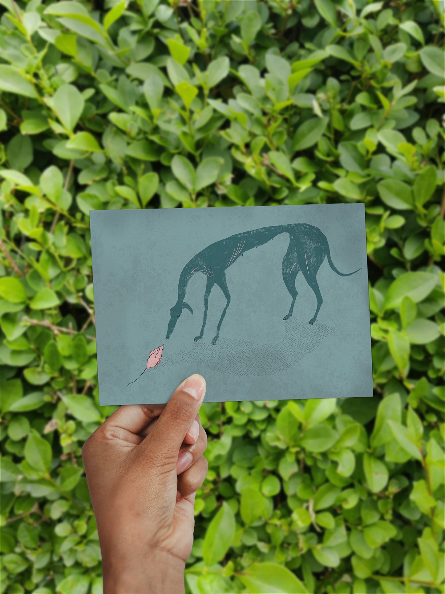 Dog and Mouse // Postcard