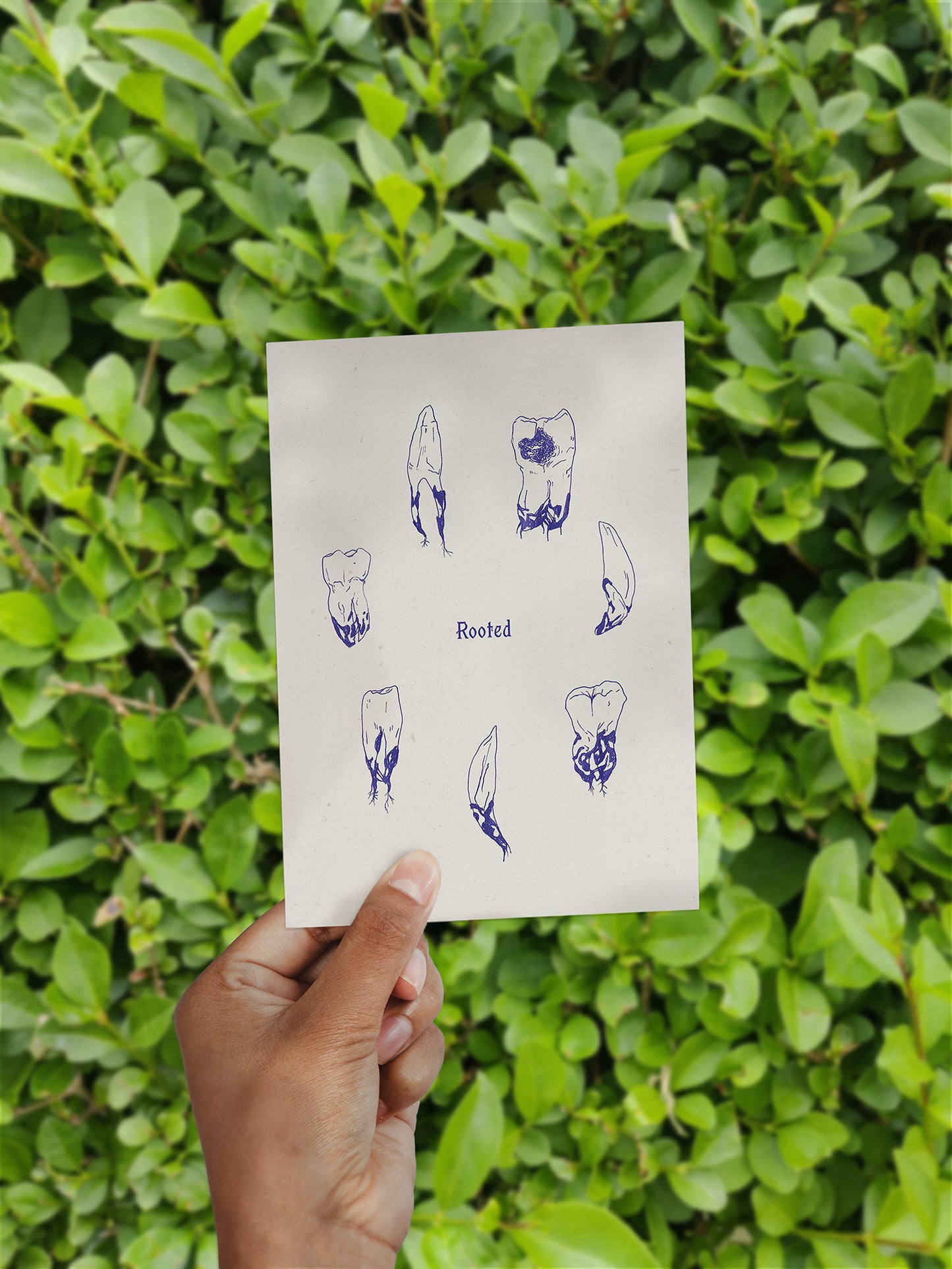 Rooted Teeth // Postcard