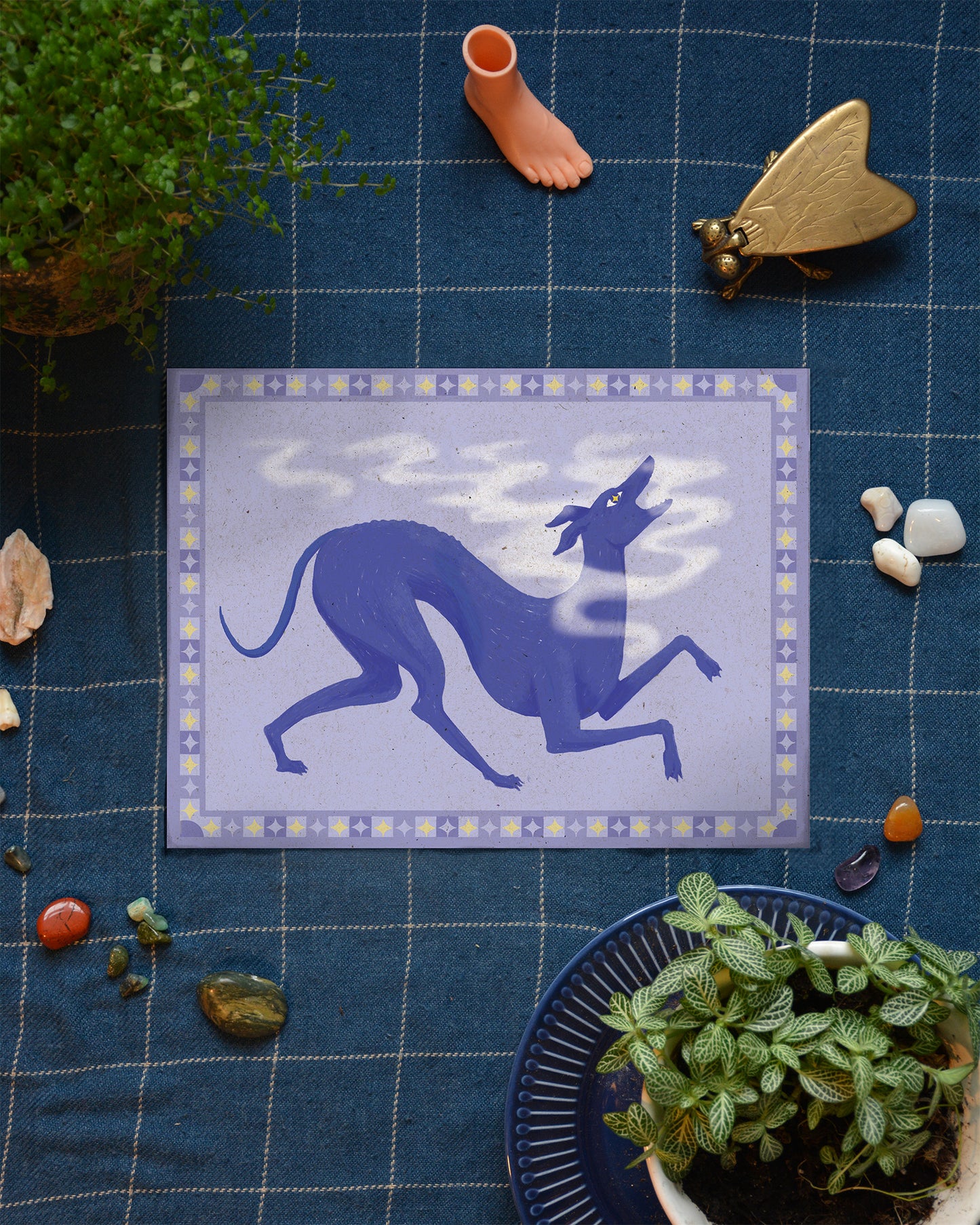 The Elemental Whippets Series