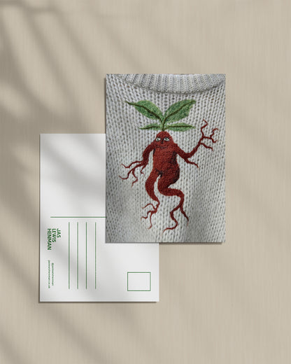 Mandrake // Postcard