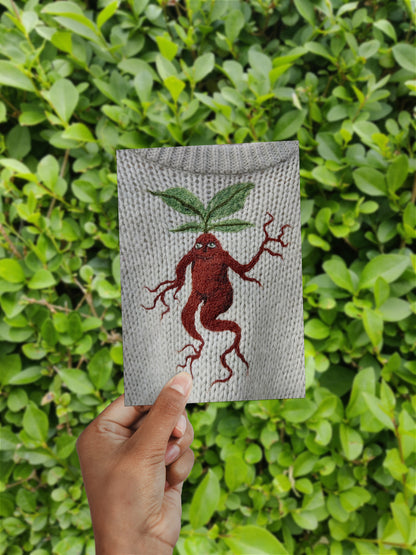 Mandrake // Postcard