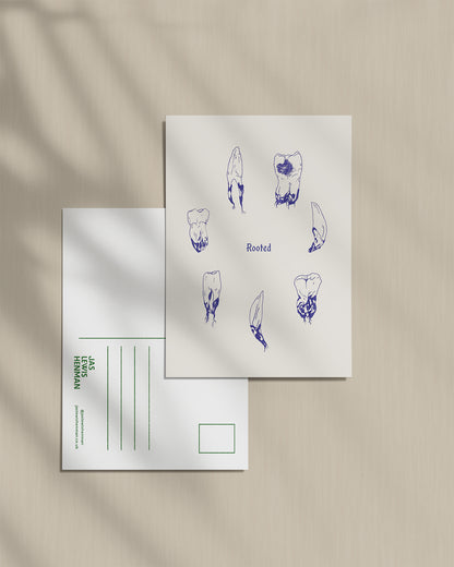Rooted Teeth // Postcard