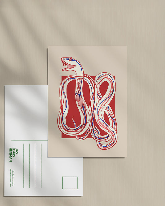 Snake Organs // Postcard
