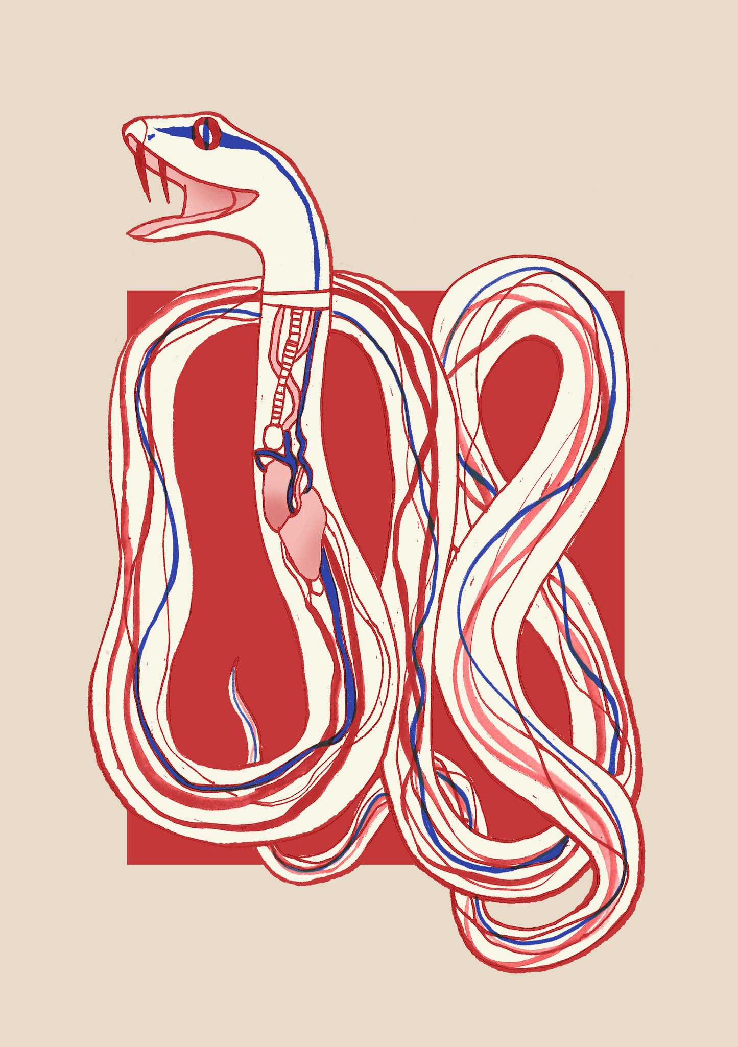 Snake Organs // Postcard
