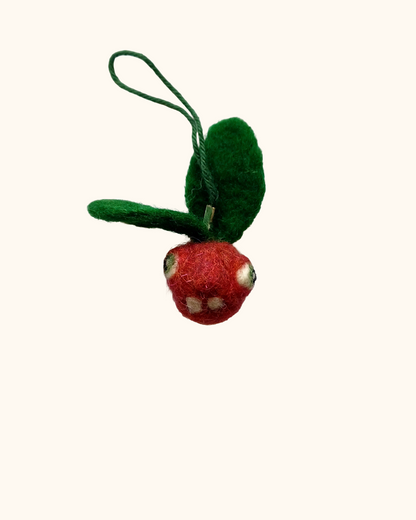 Wonky Veggie Guy Hanging Decoration A
