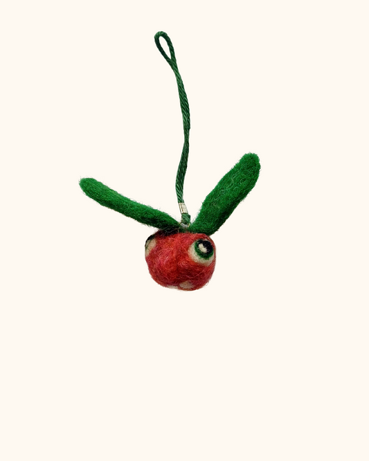 Wonky Veggie Guy Hanging Decoration B