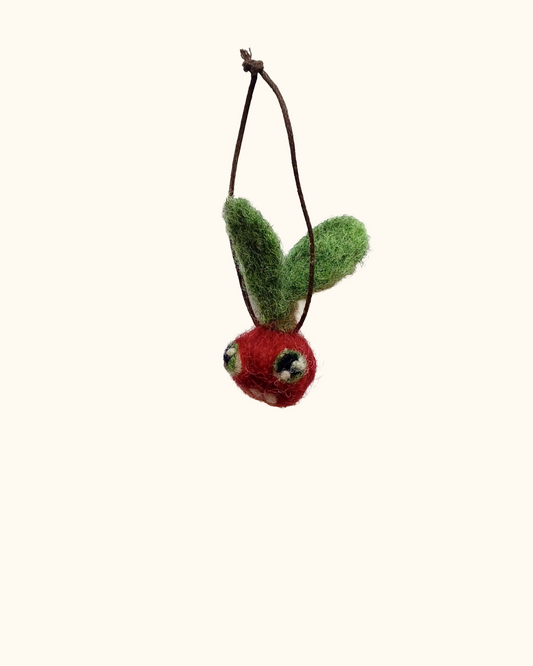 Wonky Veggie Guy Hanging Decoration C