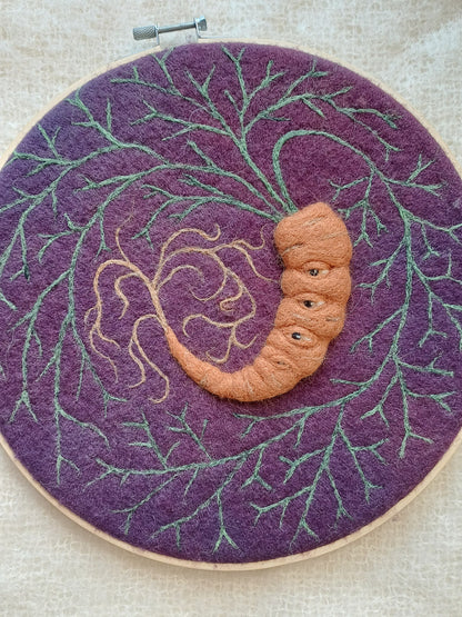 Many Eyed Carrot
