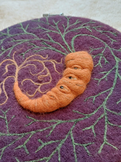 Many Eyed Carrot