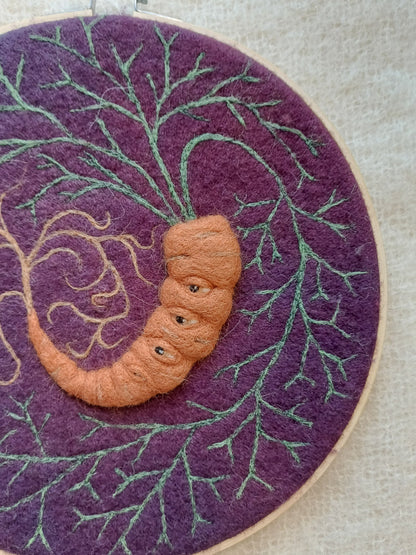 Many Eyed Carrot